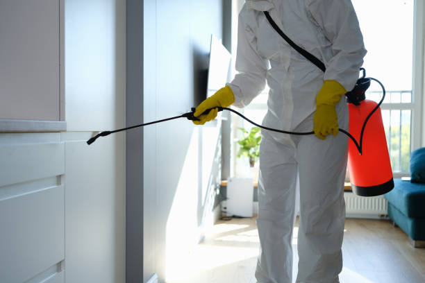 Professional Mold Remediation in Elk Ridge, UT