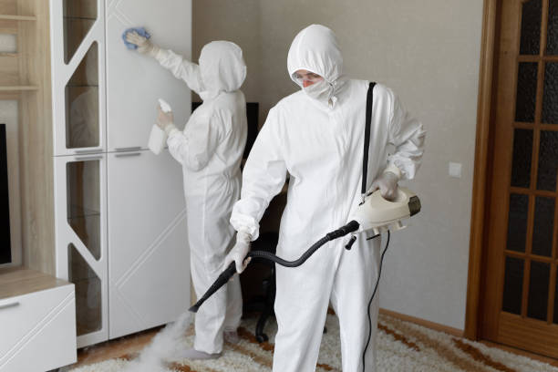 Best HVAC Mold Remediation in Elk Ridge, UT